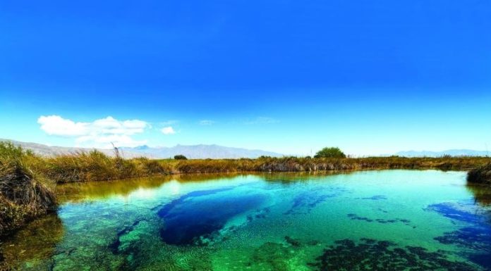 El Estado de Coahuila lidera la representación de México como país invitado en Termatalia 2017