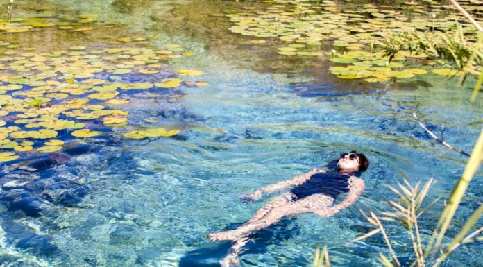 El Estado mexicano de Coahuila participará en Termatalia Brasil 2018