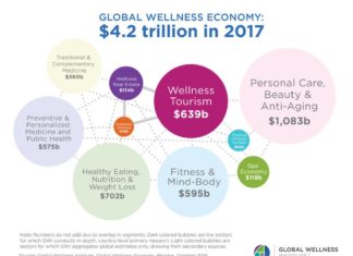 Monitor Mundial de la Economía del Bienestar 2018