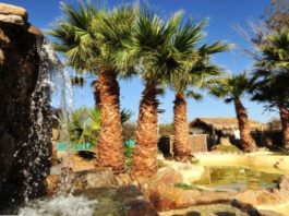 Termas de Santa Teresita, La Rioja