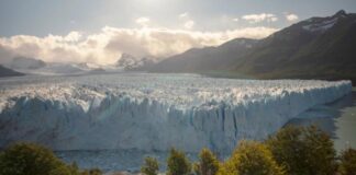 Argentina mostrará al mundo turístico en FITUR que es un destino seguro en materia de salud