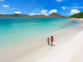 (Fuente: EM Marketing)