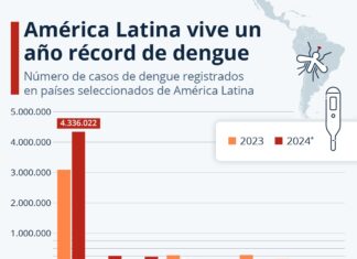 26 de agosto Día Internacional contra el Dengue