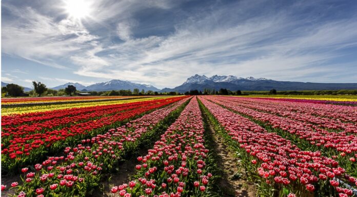 Edición 2025 de Best Tourism Villages de ONU Turismo