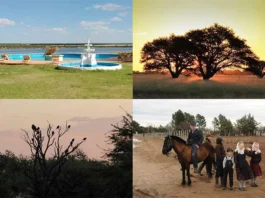 Guatraché es un destino que invita a descubrir bosques de caldén, la laguna con propiedades termales, la colonia Menonita y más atractivos.