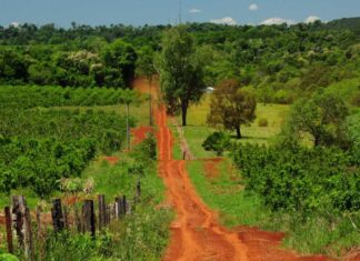 EXPERIENCIA TURISMO EN ESPACIO RURAL DE LA PROVINCIA DE MISIONES – CAME – INTA