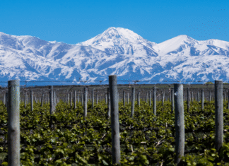 Mendoza, un destino invernal de lujo que combina aventura, gastronomía y paisajes inolvidables