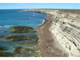 Protección de la biodiversidad marina