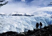 Patagonia en riesgo: un estudio en el glaciar Perito Moreno detecta 1.200 desprendimientos de hielo en un mes y medio
