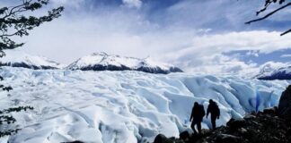 Patagonia en riesgo: un estudio en el glaciar Perito Moreno detecta 1.200 desprendimientos de hielo en un mes y medio