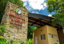 Misiones: El Parque Termal de Oberá ante el desafío de su reconversión tras la pérdida del recurso minero